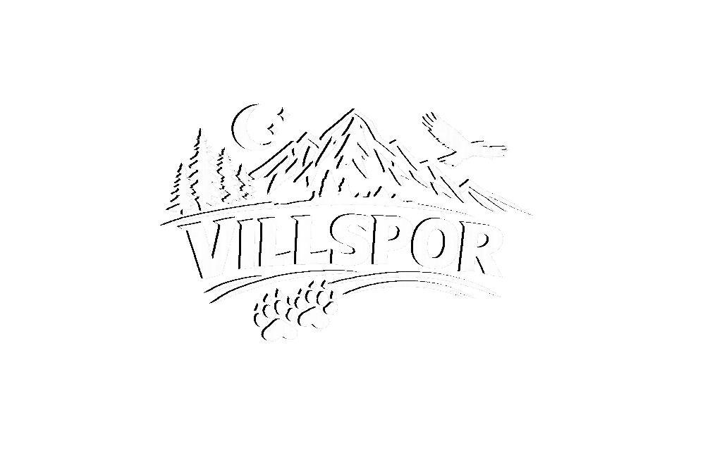 Villspor